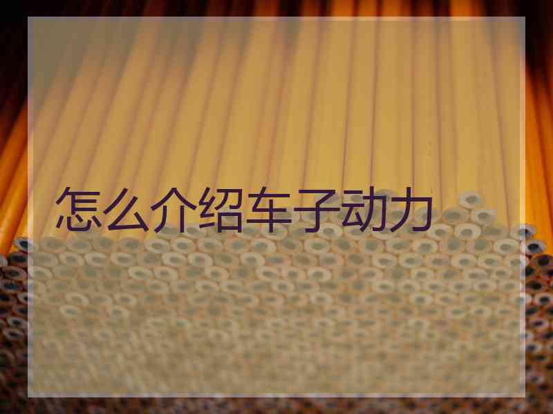 怎么介绍车子动力