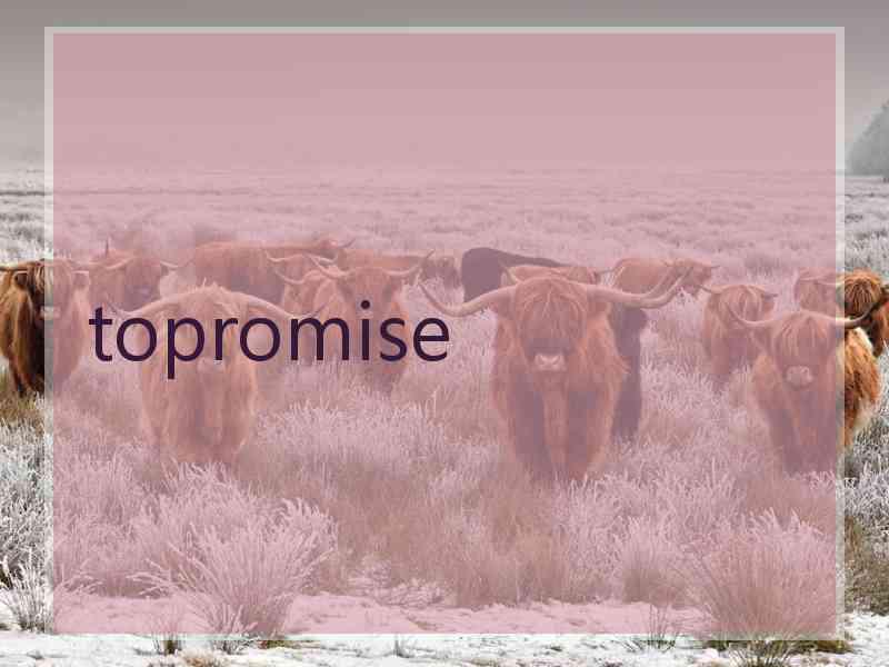 topromise
