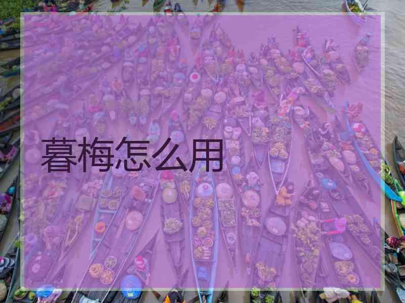 暮梅怎么用