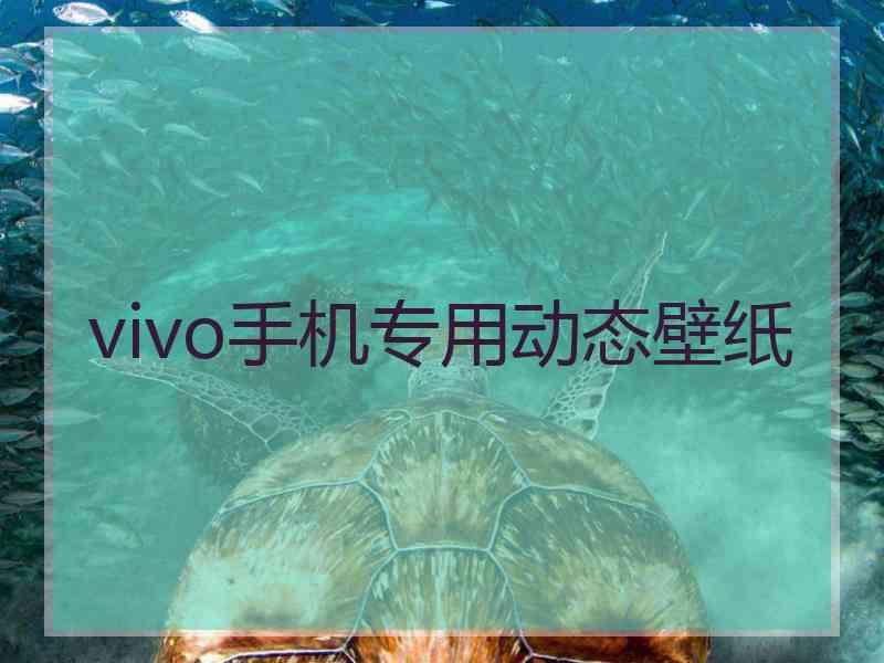 vivo手机专用动态壁纸