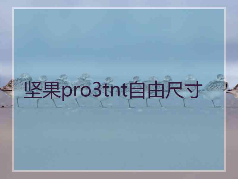坚果pro3tnt自由尺寸