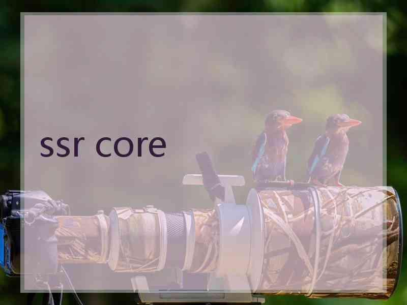 ssr core
