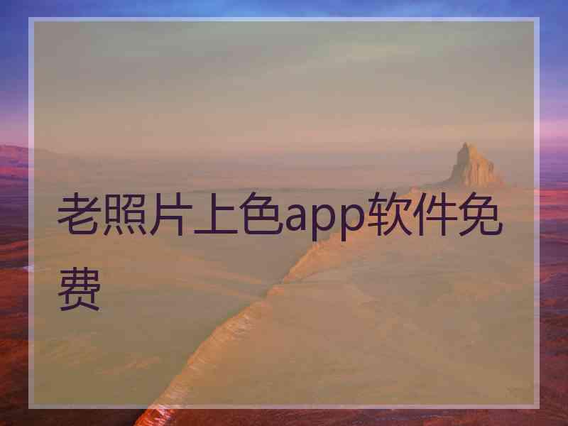 老照片上色app软件免费