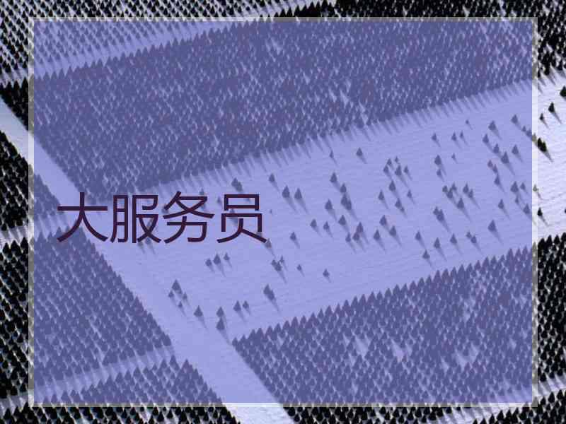 大服务员