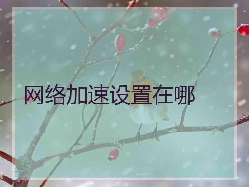 网络加速设置在哪