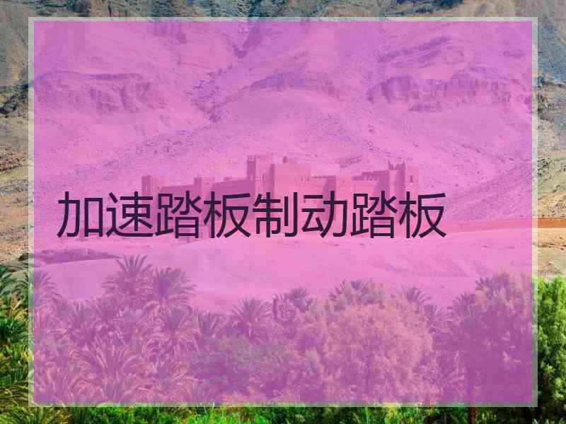 加速踏板制动踏板