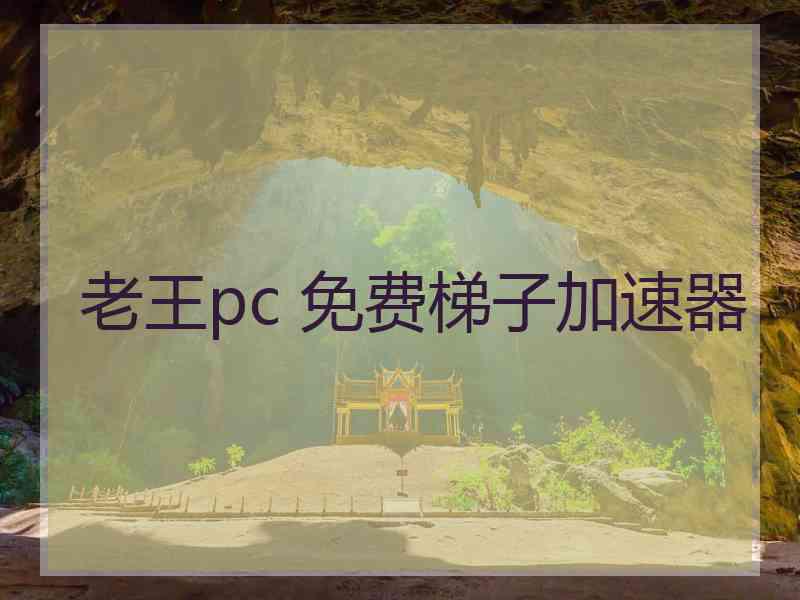 老王pc 免费梯子加速器