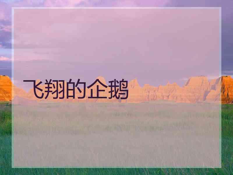 飞翔的企鹅