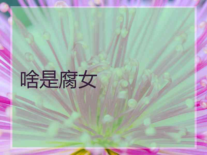 啥是腐女