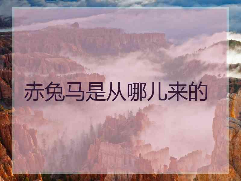 赤兔马是从哪儿来的