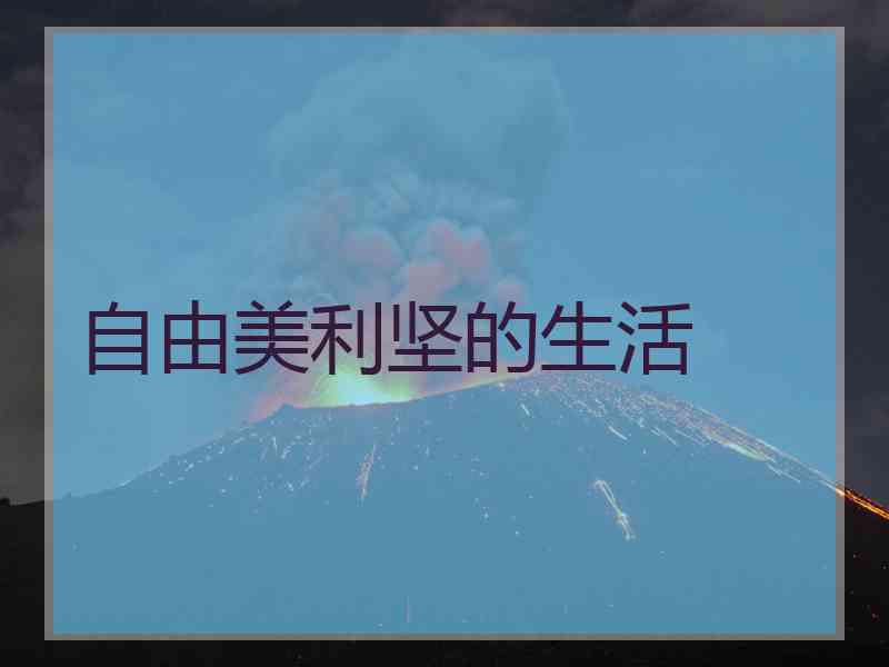 自由美利坚的生活
