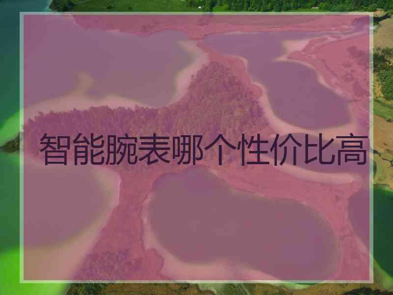 智能腕表哪个性价比高