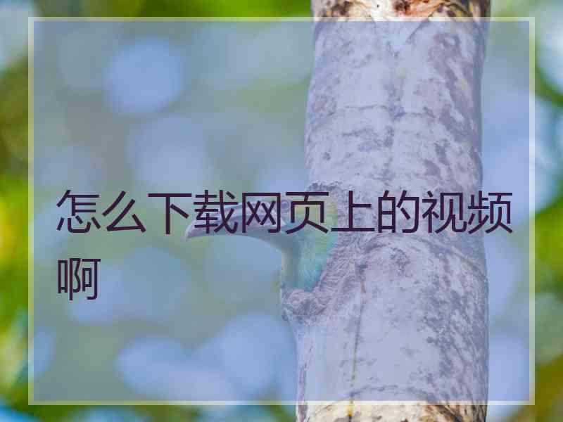怎么下载网页上的视频啊