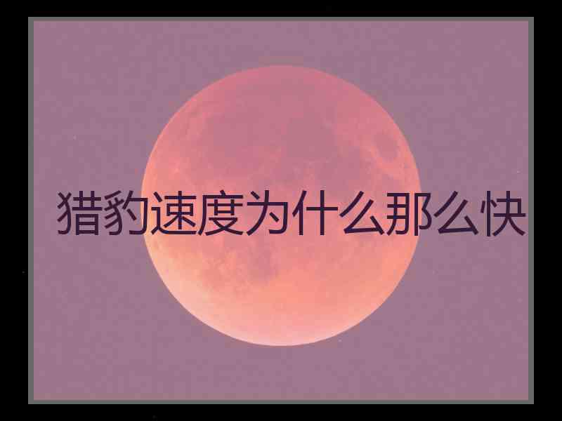 猎豹速度为什么那么快