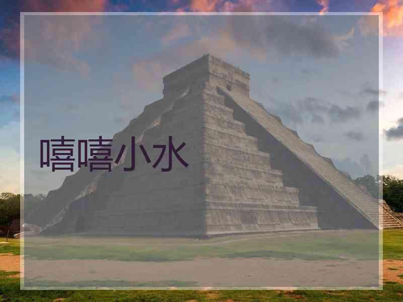 嘻嘻小水