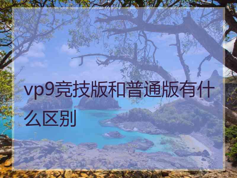 vp9竞技版和普通版有什么区别
