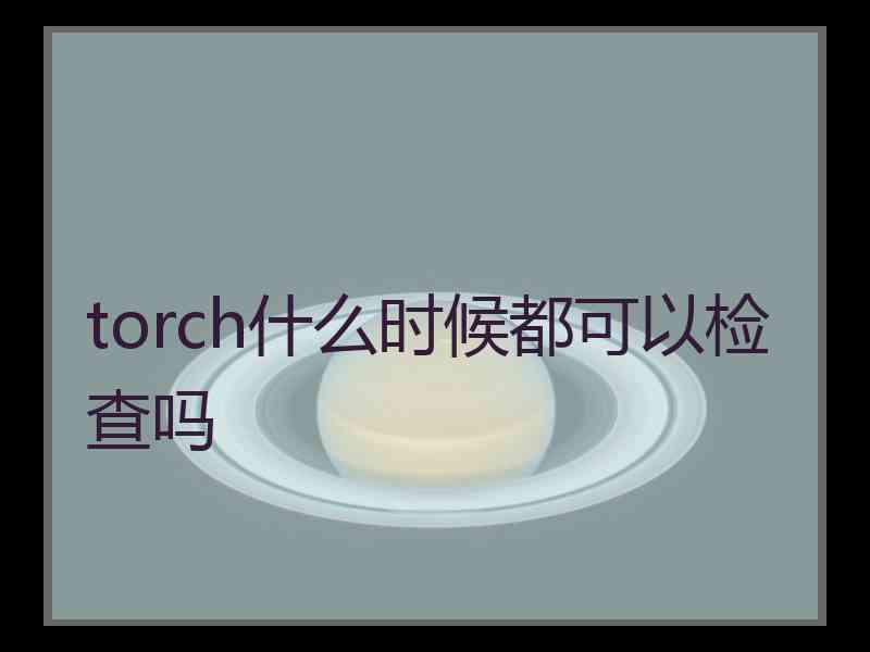 torch什么时候都可以检查吗