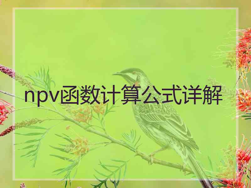 npv函数计算公式详解