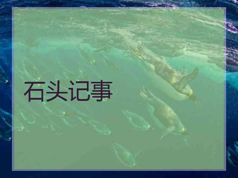 石头记事