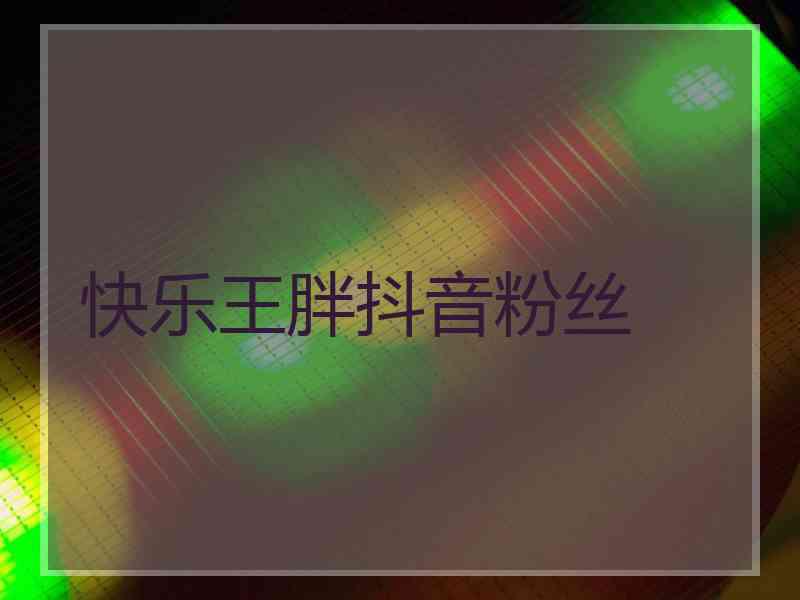 快乐王胖抖音粉丝