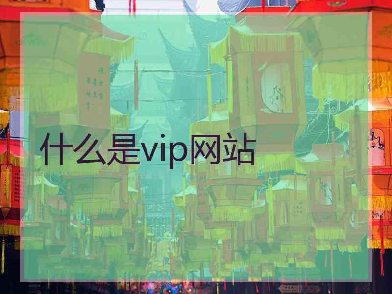 什么是vip网站
