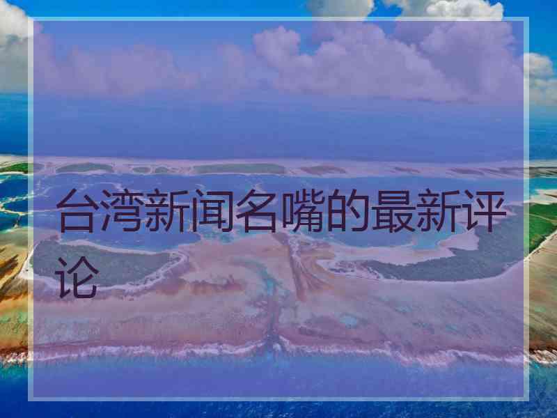 台湾新闻名嘴的最新评论