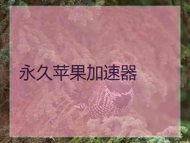 永久苹果加速器