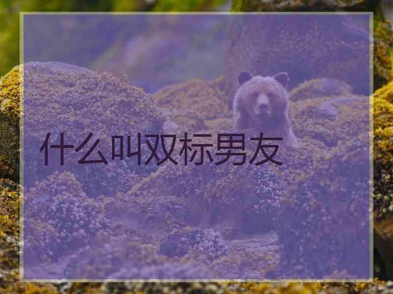 什么叫双标男友