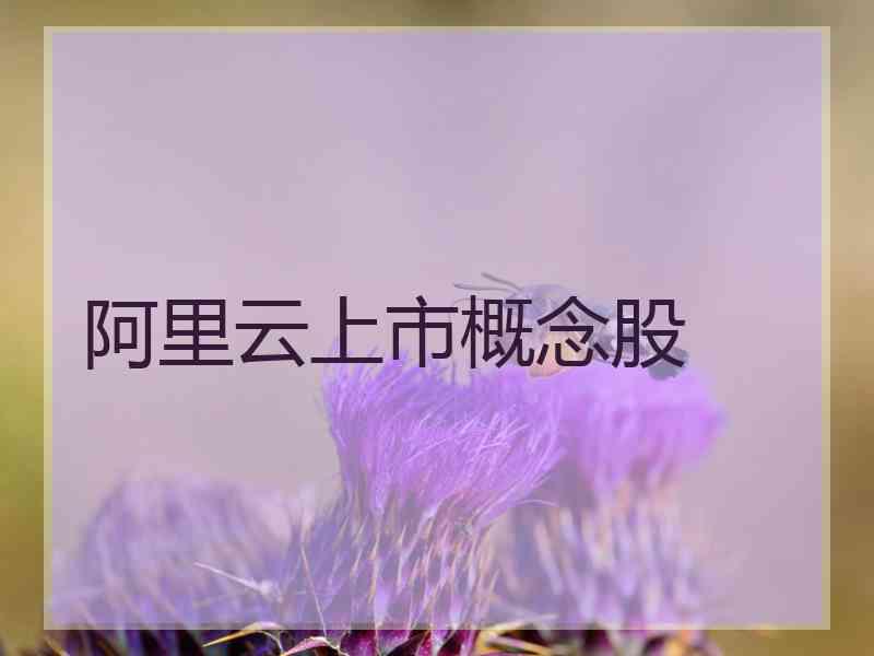 阿里云上市概念股