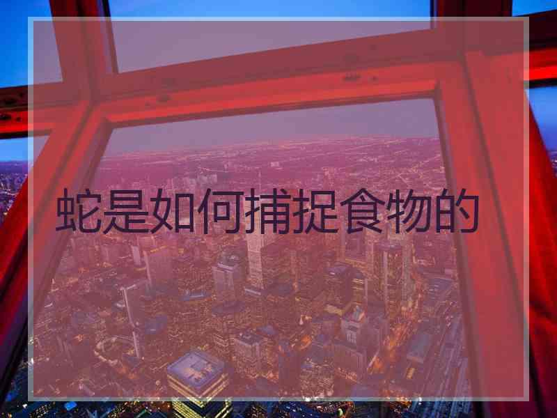 蛇是如何捕捉食物的