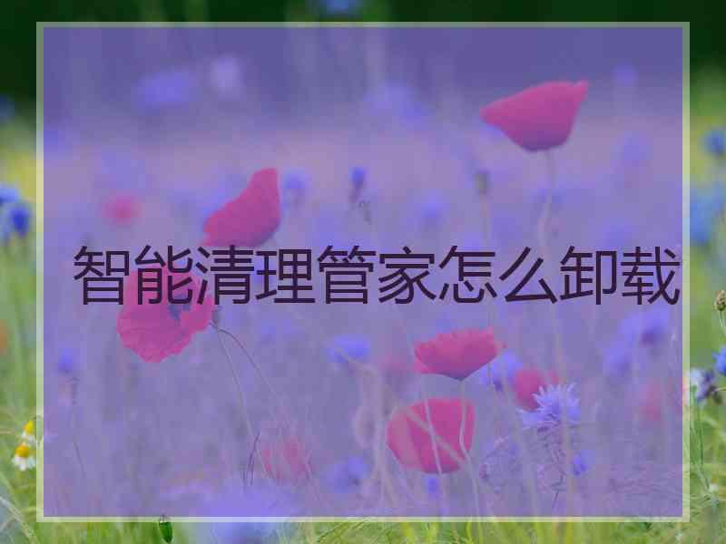 智能清理管家怎么卸载