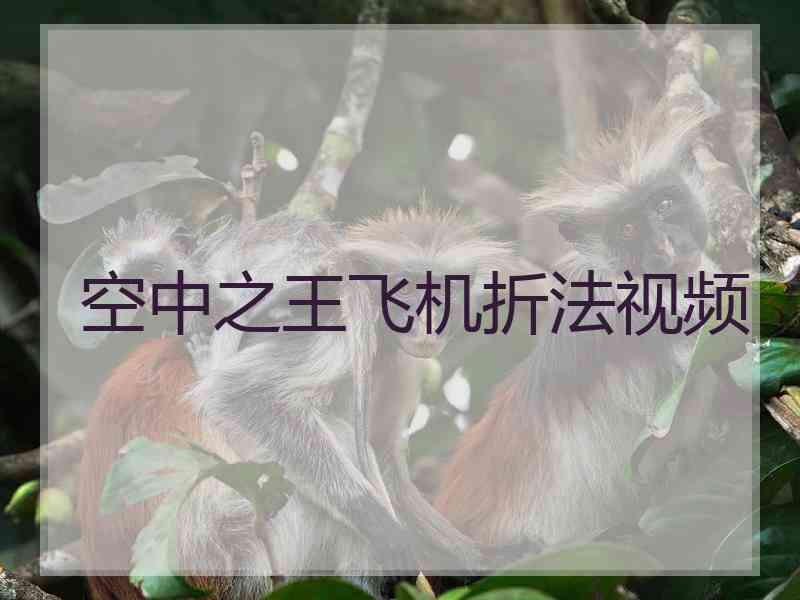 空中之王飞机折法视频
