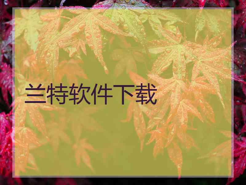 兰特软件下载