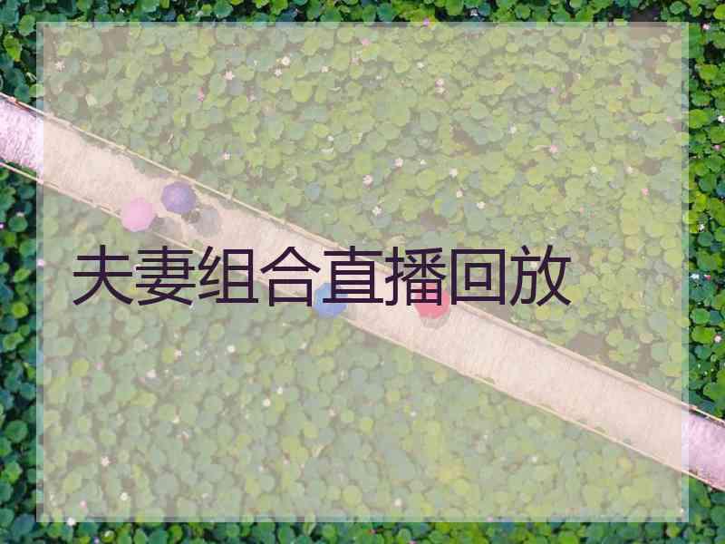夫妻组合直播回放