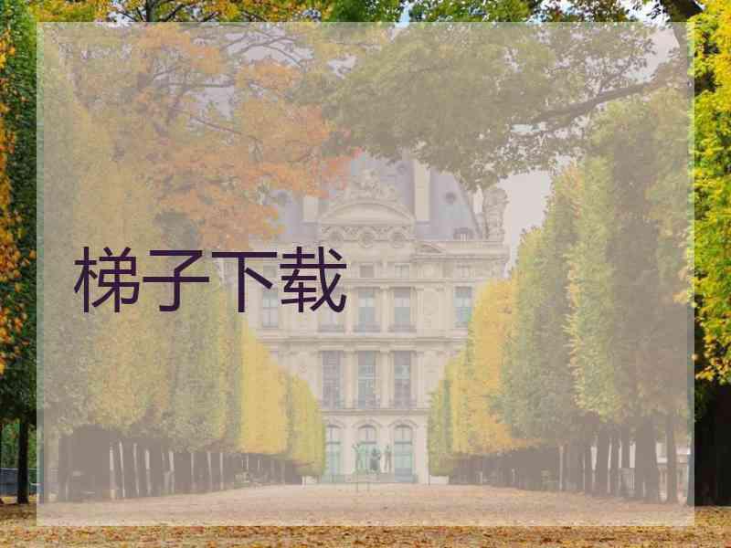 梯子下载
