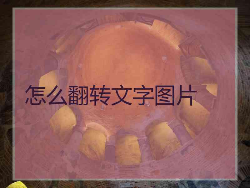 怎么翻转文字图片