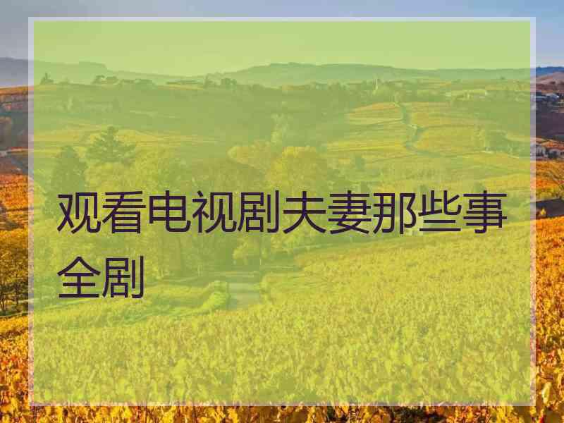 观看电视剧夫妻那些事全剧