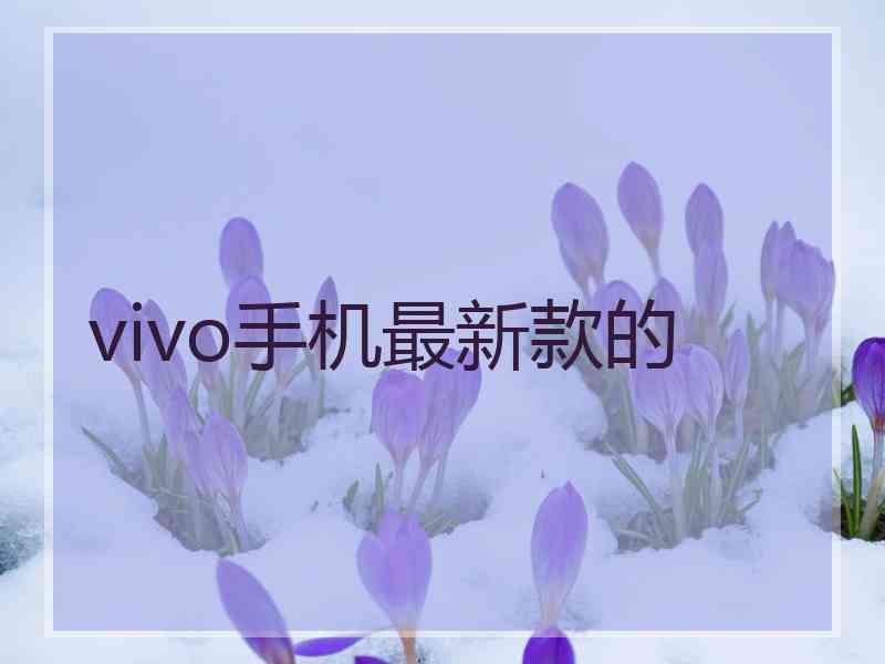 vivo手机最新款的