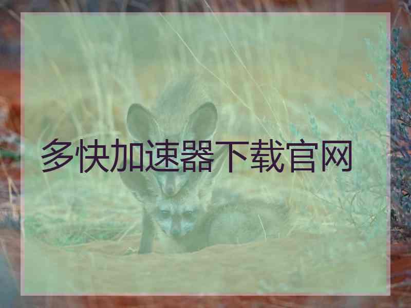 多快加速器下载官网