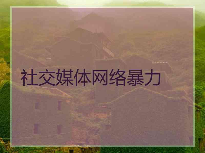 社交媒体网络暴力