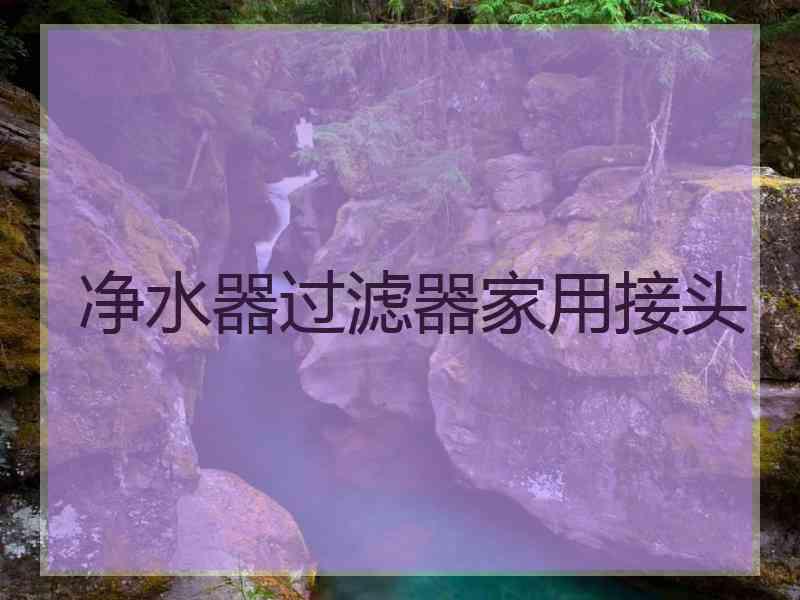 净水器过滤器家用接头