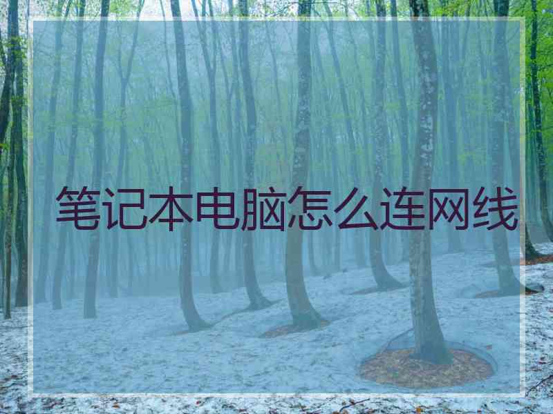 笔记本电脑怎么连网线