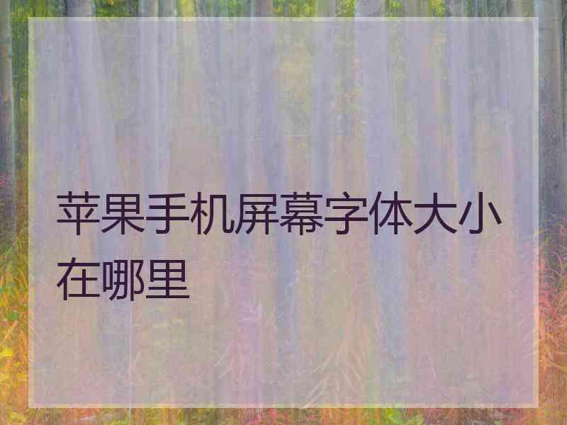 苹果手机屏幕字体大小在哪里