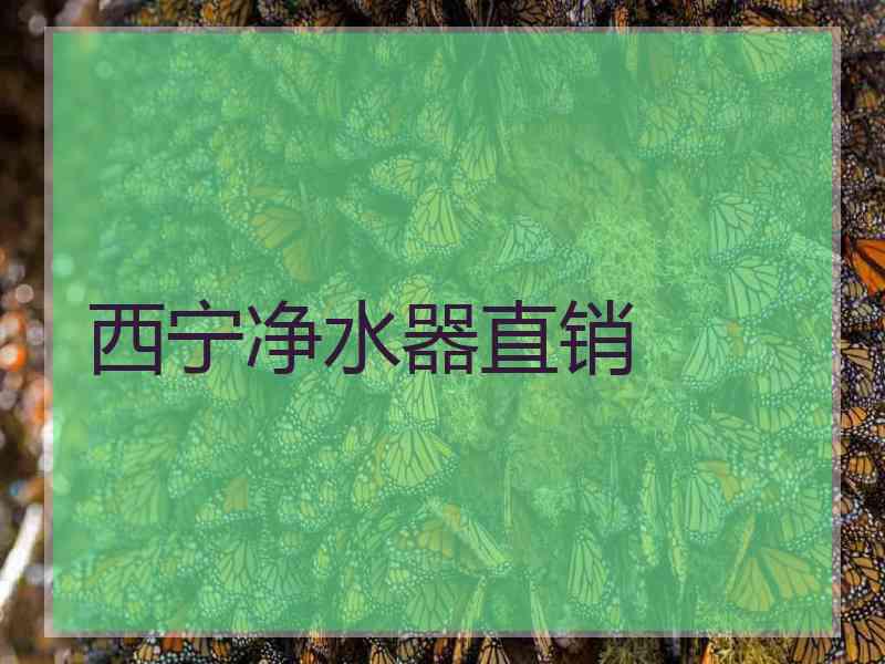 西宁净水器直销