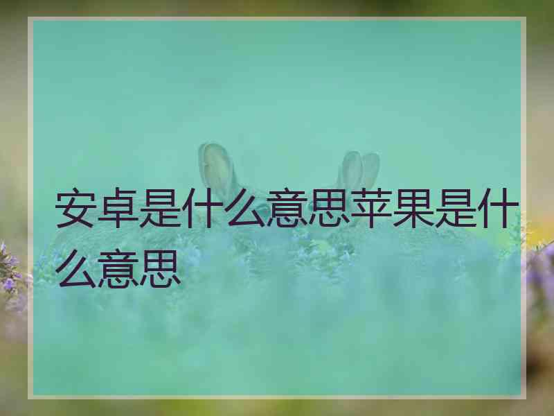 安卓是什么意思苹果是什么意思