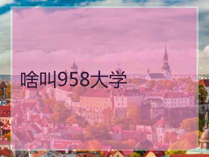 啥叫958大学