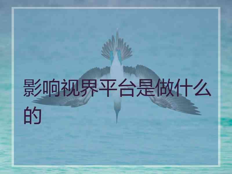 影响视界平台是做什么的