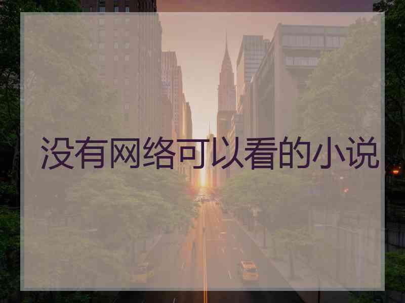 没有网络可以看的小说