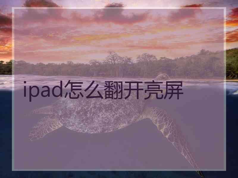 ipad怎么翻开亮屏