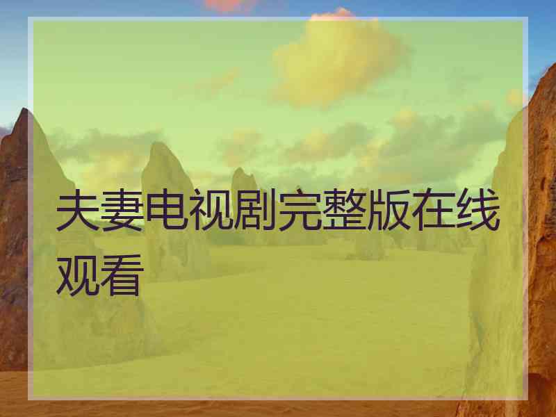 夫妻电视剧完整版在线观看